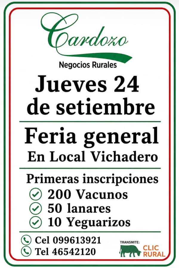 Feria mensual - Local Vichadero