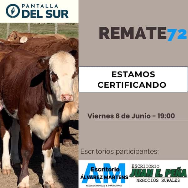  72° Pantalla del Sur