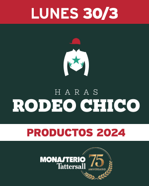  Haras Rodeo Chico