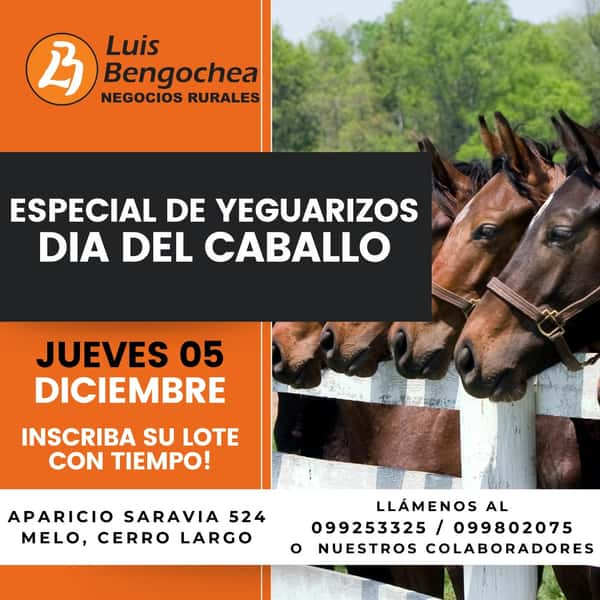  Dia del Caballo