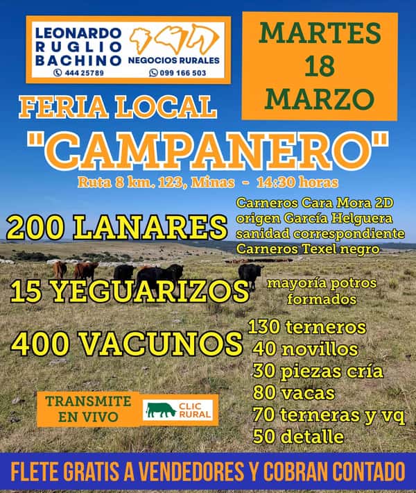 Feria Mensual - Leonardo Ruglio Bachino