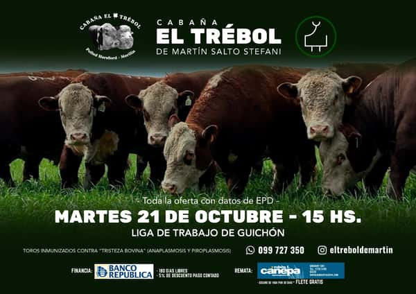  Cabaña El Trebol
