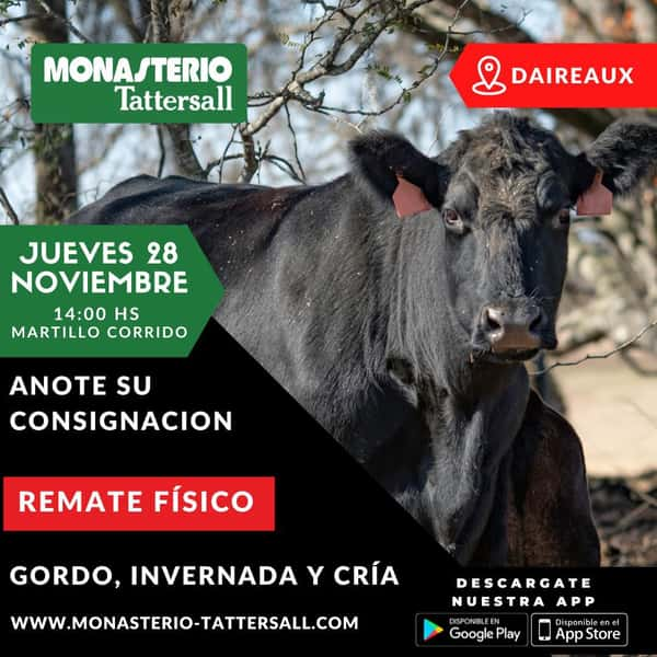  Remate físico Daireaux, Jueves 28 de Noviembre