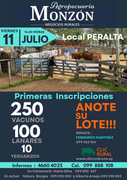 Feria Mensual - Agropecuaria Monzon