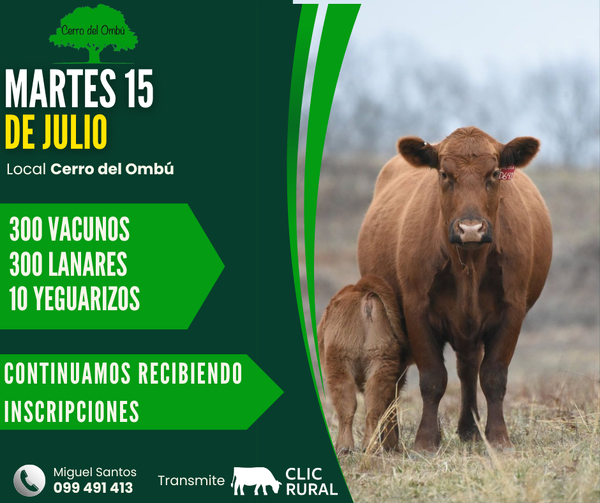  Feria mensual - Cerro del Ombu