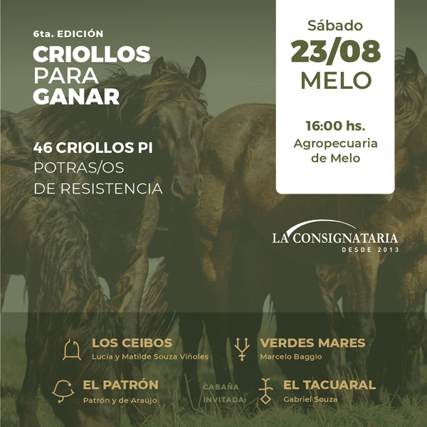  6º Edición - Criollos para ganar 