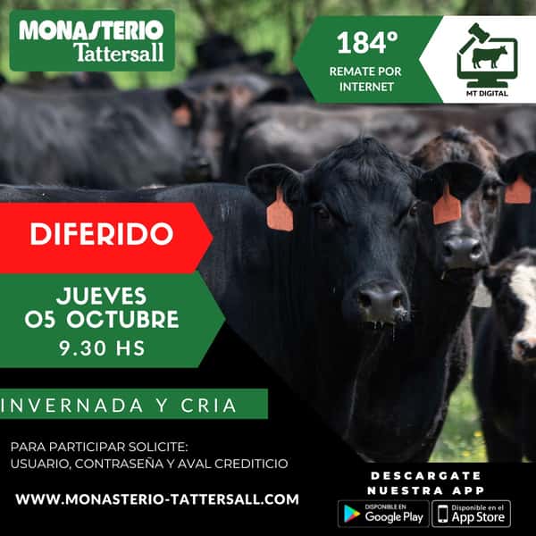 184° Remate por internet