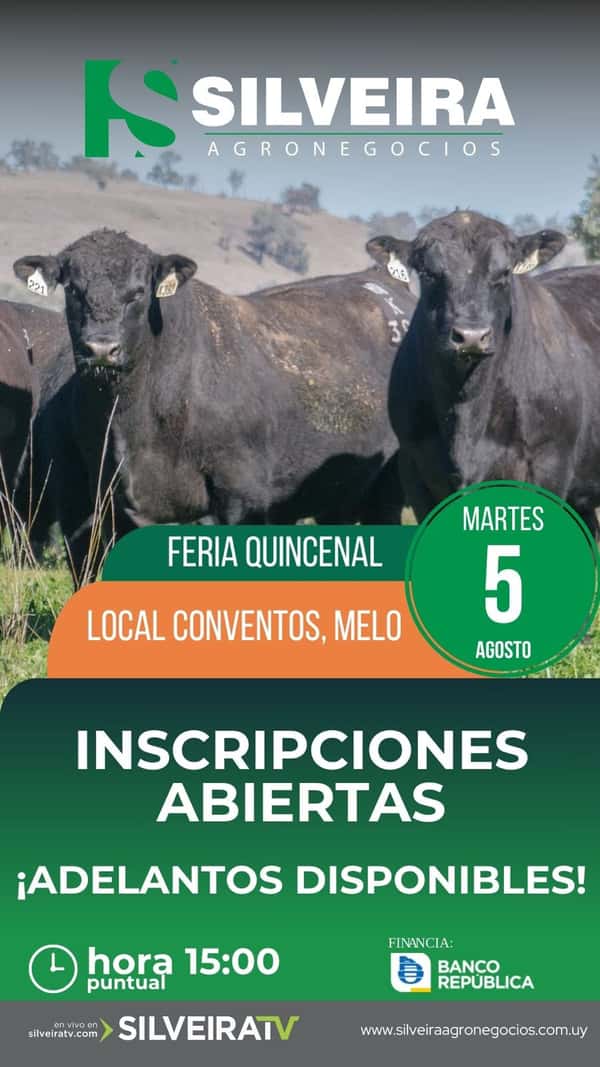 Remate Feria Quincenal - Local Conventos