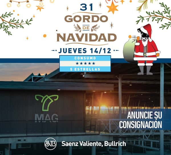  31° GORDO DE NAVIDAD