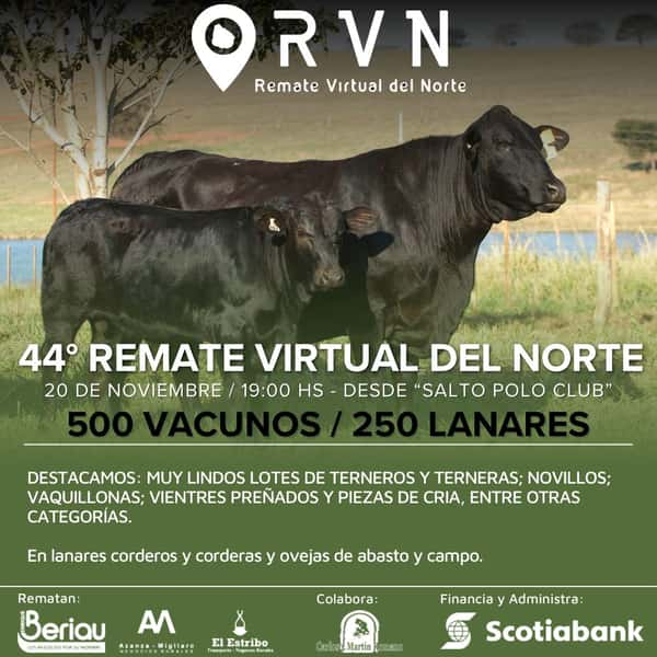 44º Remate Virtual del Norte