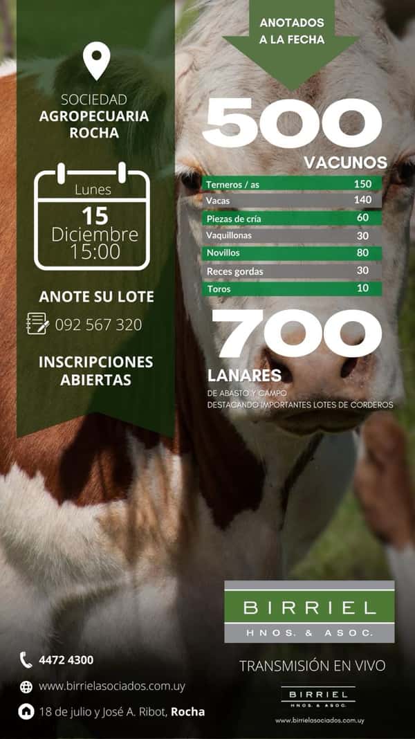 Feria Soc. Agrop. Rocha