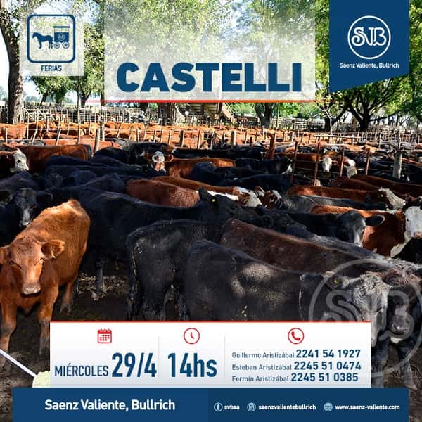  Feria en Castelli