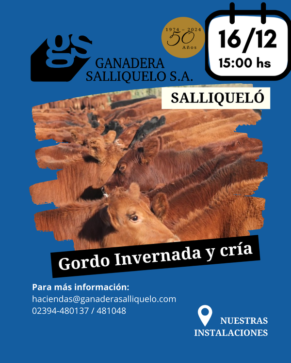  REMATE FERIA EN SALLIQUELÓ 