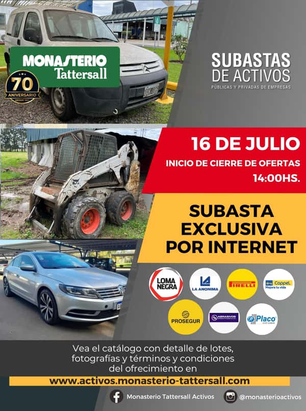  SUBASTA MULTI 16-07-25