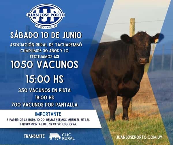  Feria Sábado 10 de Junio 
