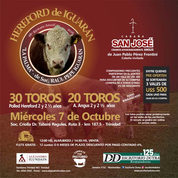 Hereford de Iguarán — Escritorio Dutra LTDA.