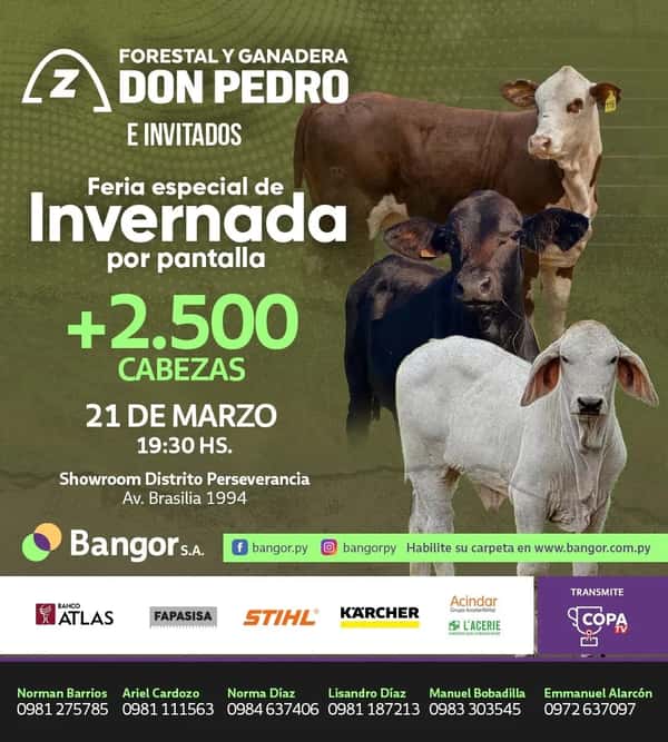 Remate FERIA ESPECIAL DE INVERNADA - FORESTAL Y GANADERA DON PEDRO