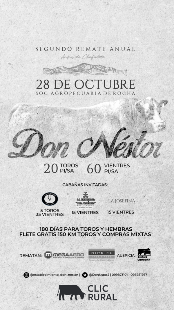  Don Nestor - MegaAgro