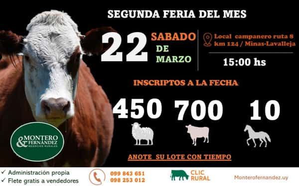 Segunda Feria del Mes