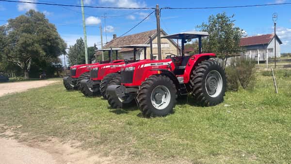 Mantenimiento de Áreas Verdes