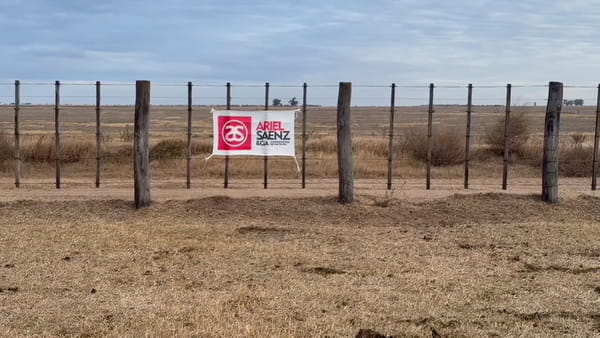 Lote 69 terneros
