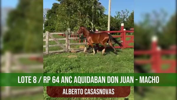 Lote ANC AQUIDABAN DON JUAN