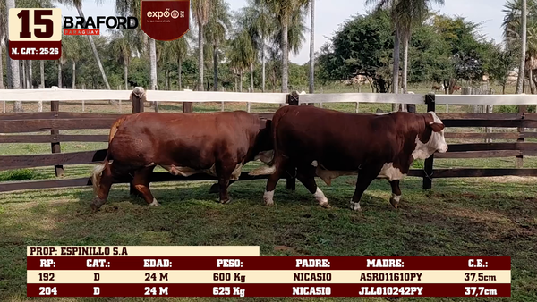 Lote LOTE 15