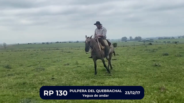 Lote PULPERA DEL QUEBRACHAL