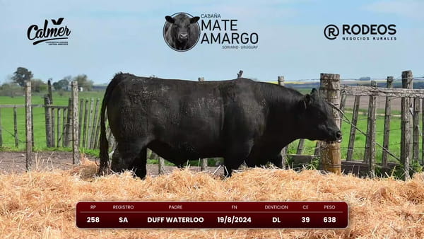 Lote RP 258 SA