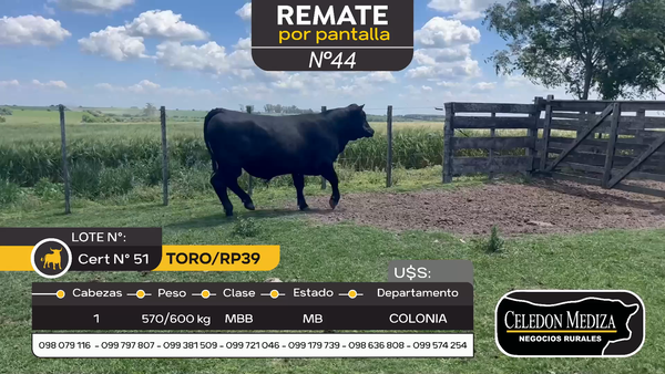 Lote Toro RP39 en Otra Localidad, Colonia