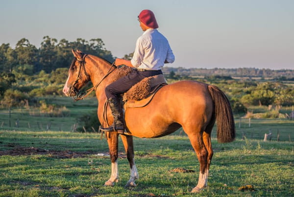 Lote CONSTANCIA GUAJUVIRA