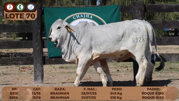 Lote LOTE 70