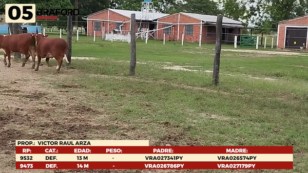 Lote LOTE 5