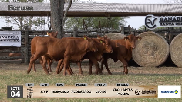 Lote Ganadera Santa Cecilia - Lote 4