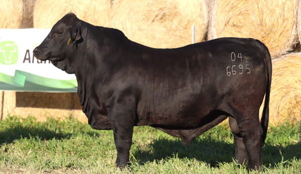 Lote LOTE 73