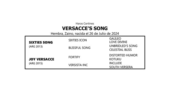 Lote VERSACCE'S SONG