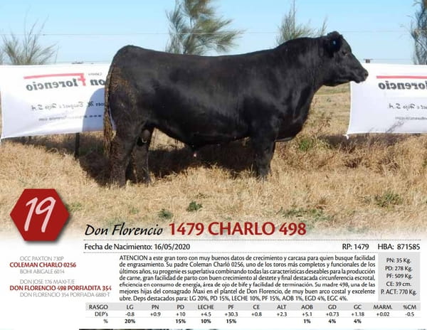 Lote TORO