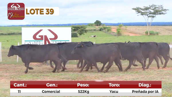 Lote Reproductores de Alborada - Lote 39