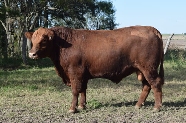 Lote CABAÑA “COEMBOTÁ” de Calderón RP 126