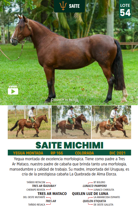 Lote LOTE 54