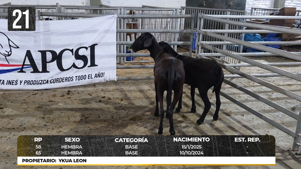 Lote LOTE 21