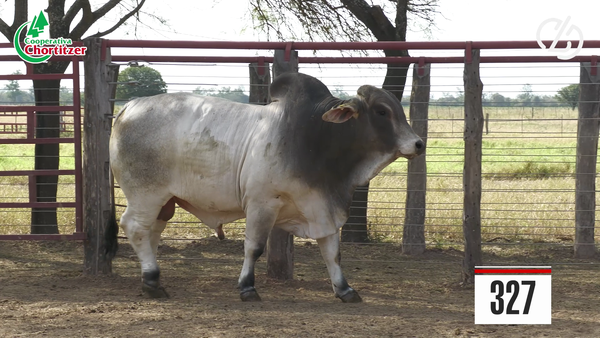 Lote Brahman
