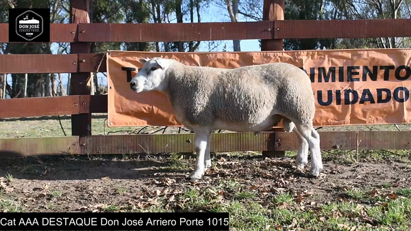 Lote CAT. AAA - LOTE 1