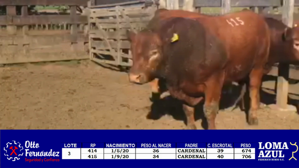 Lote LOTE 3 LOMA AZUL