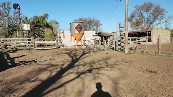 Lote Est. Don Osvaldo - Vaq. Preñadas