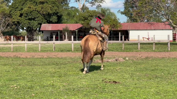 Lote 1 Montados en Corrientes, Curuzu Cuatia