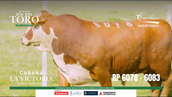 Lote Cabaña la victoria - Braford