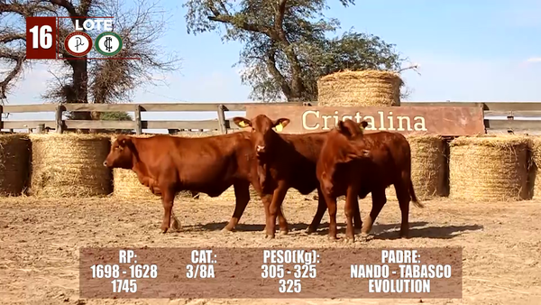 Lote Lote 16 Reserva de Cabaña