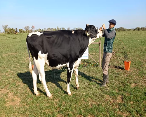 Lote Lote 95 Sonia Fux rp 3158