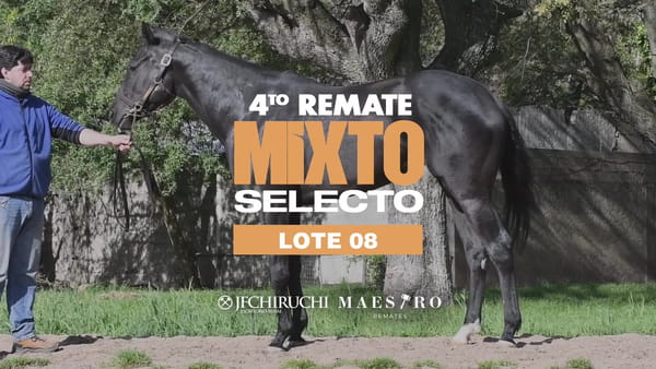 Lote MADAME BLACK